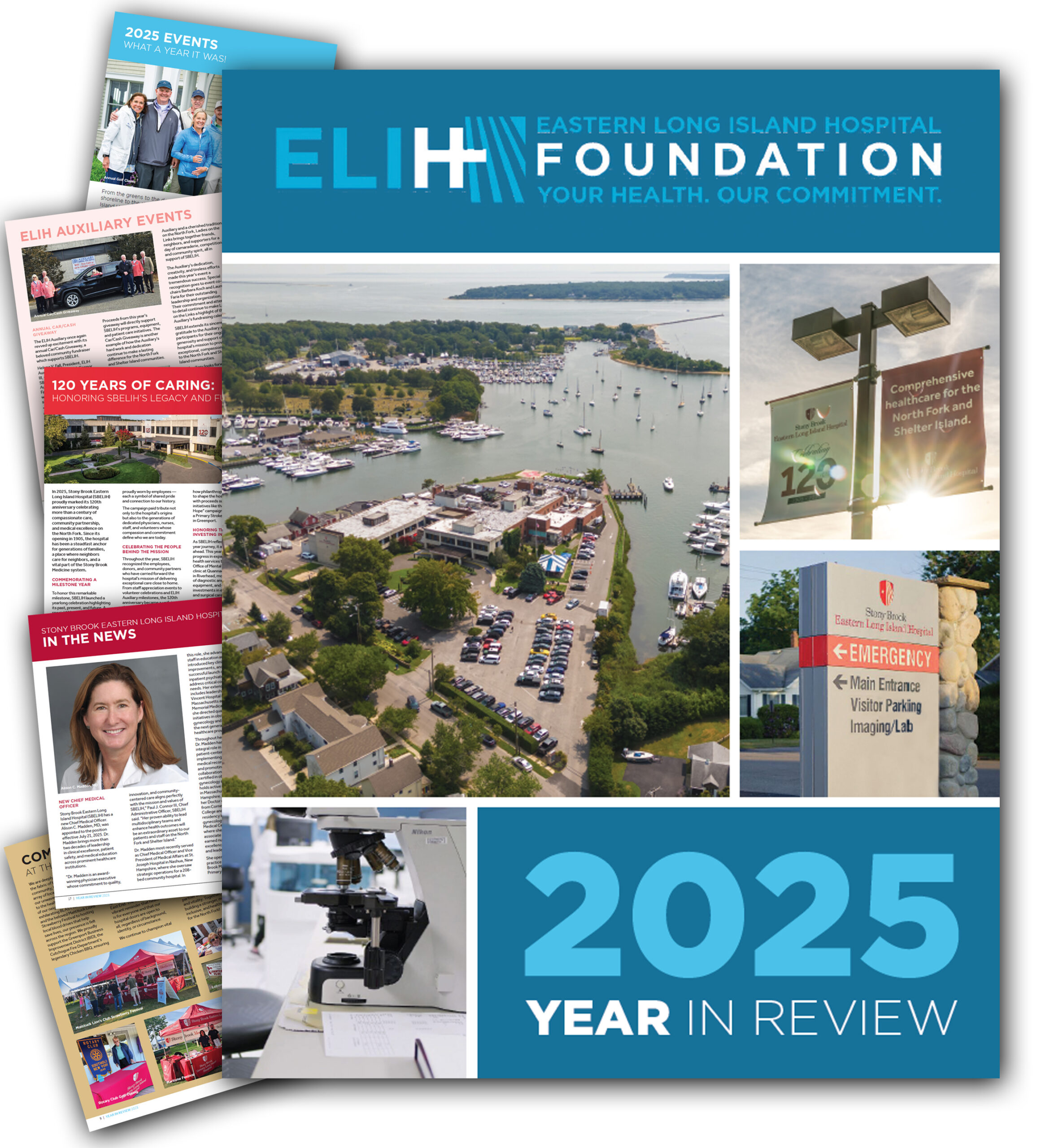 year in review 2025 composite